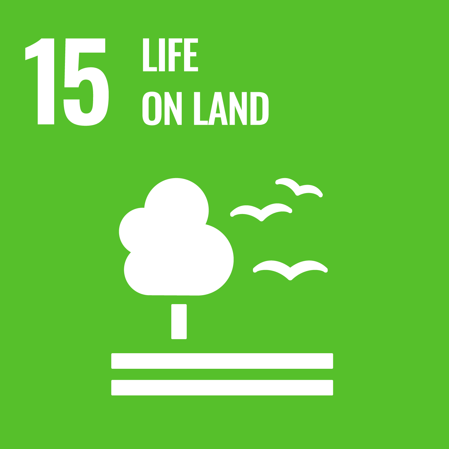 Lime green square with white text that says 15: Life on Land